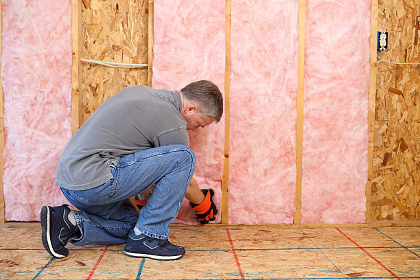 Best Eco-Friendly Insulation in Honeoye Falls, NY
